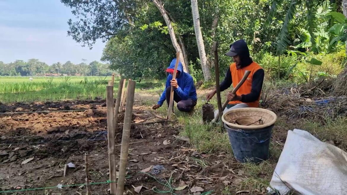 FARMERS STILL USE THIS SIMPLE METHOD TO BUILD GARDEN BEDS!-agriculture farming
