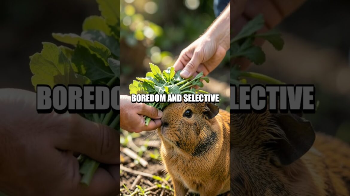 Greens for Gentle Paws: A Fresh Take on Indoor Small Mammal Care Greens for Gentle Paws: A Fresh Take on Indoor Small Mammal Care