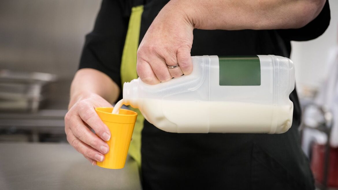 Stop throwing away empty milk cartons because they have clever garden use Daily Mirror