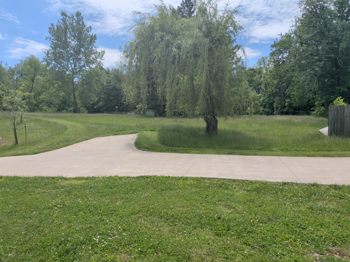 We stopped cutting it all in the spring.