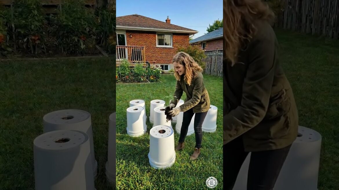 2-in-1 Organic Strawberry & Tomato DIY Bucket Planter | Backyard Garden🍓🍅 #DIYGarden #plantlover 2-in-1 Organic Strawberry & Tomato DIY Bucket Planter | Backyard Garden🍓🍅 #DIYGarden #plantlover