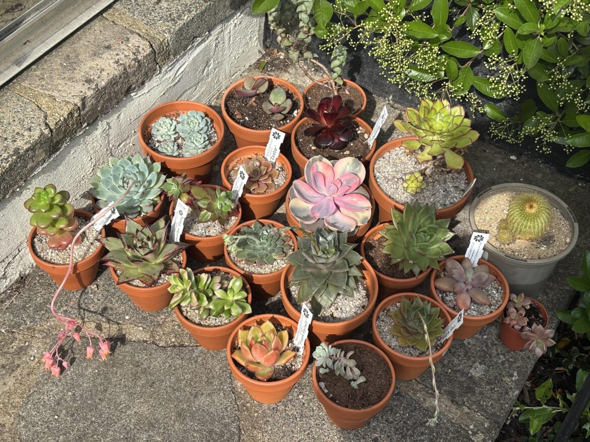 Everyone outside enjoying the sunshine ☀️