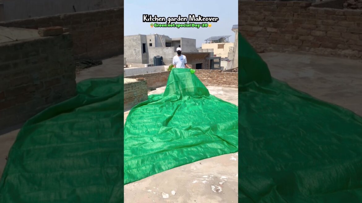How to set Green Net in your terrace | Garden Upgrade in Summers ☀️🪴#gardening #shorts