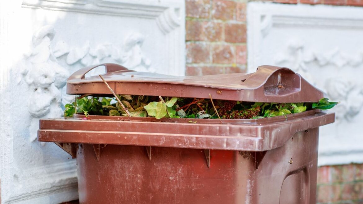 Garden items you can no longer recycle as new England bin rules come into force Daily Mirror
