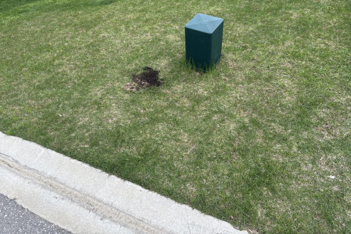 Utility box on lawn