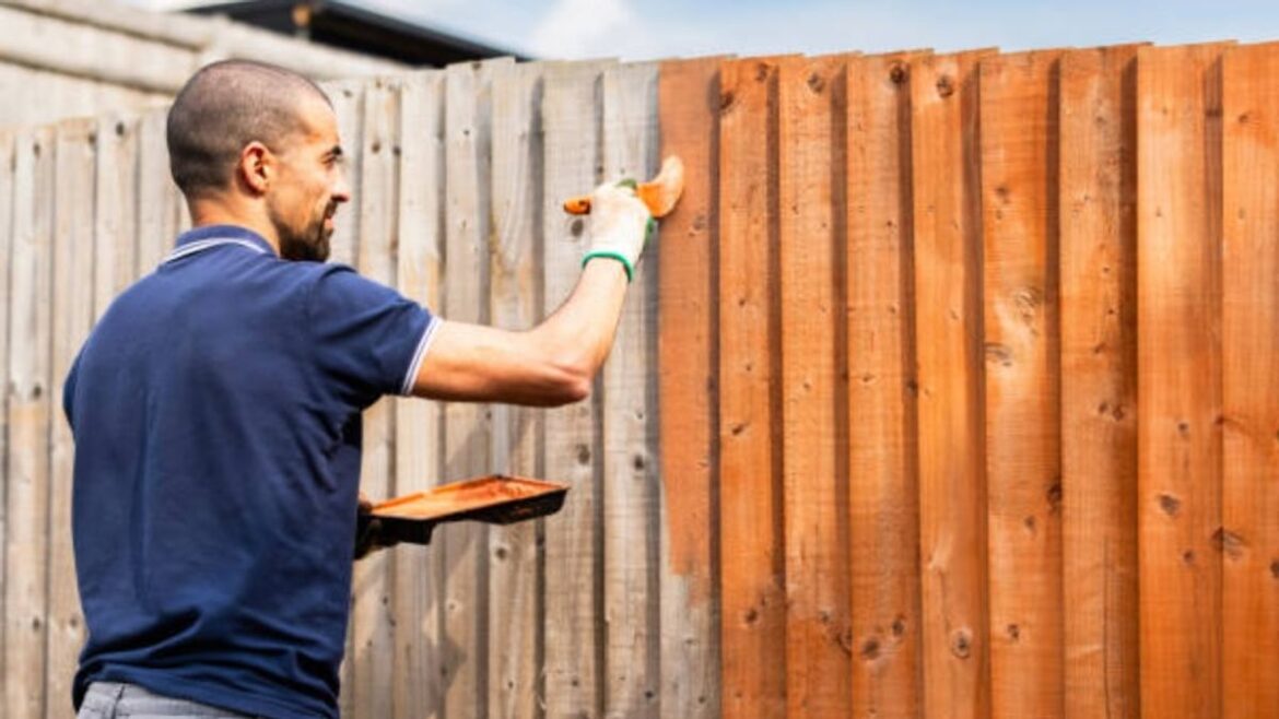 UK households painting garden fences risk £2,500 fine over neighbour law Birmingham Live