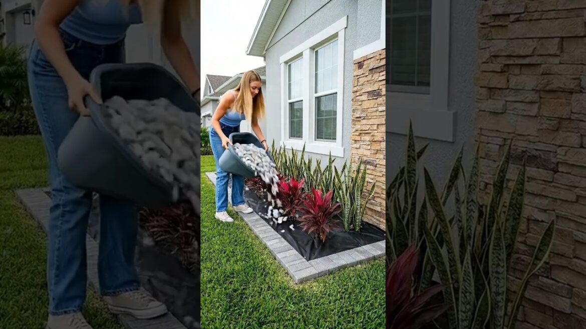 This Front Yard Makeover Made My Neighbors Stop & Stare