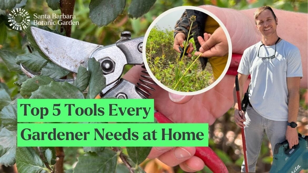 Expert Picks: Essential Gardening Tools | Keith Nevison & Garden Team