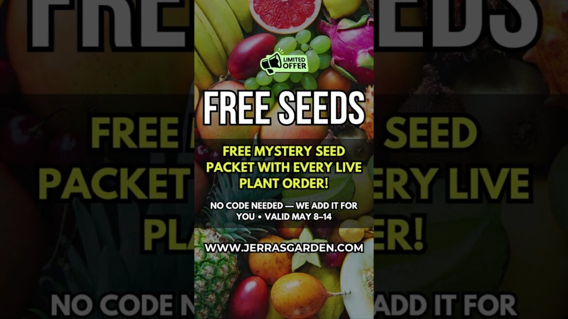 🎁 FREE Mystery Seed Packet with every live plant order — this week only!