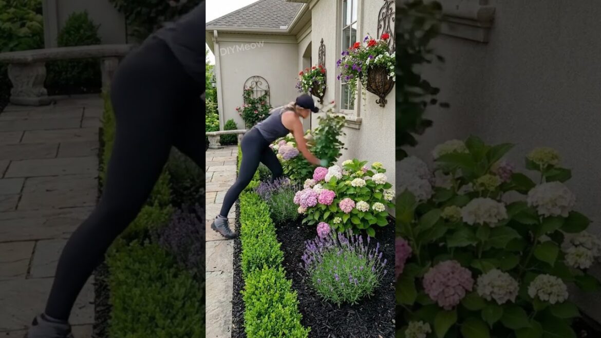 DIY | Formal Garden Bed Glow Up Along the House Wall DIY | Formal Garden Bed Glow Up Along the House Wall