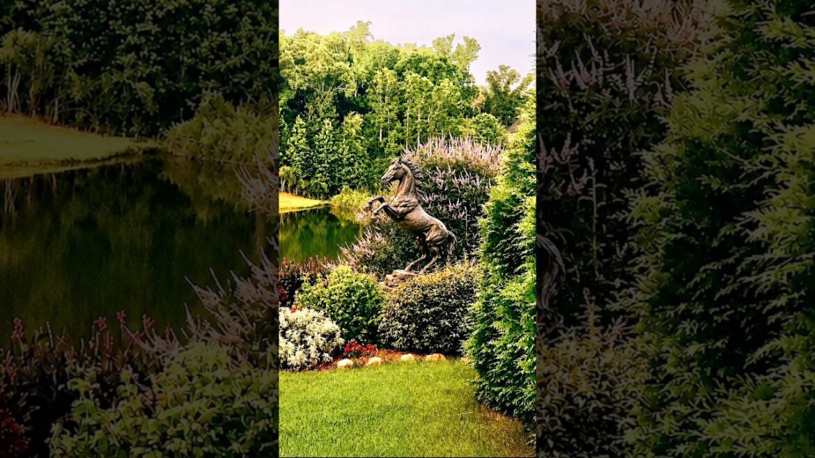 Dramatic Backyard Garden Entrance #backyard #backyardgarden