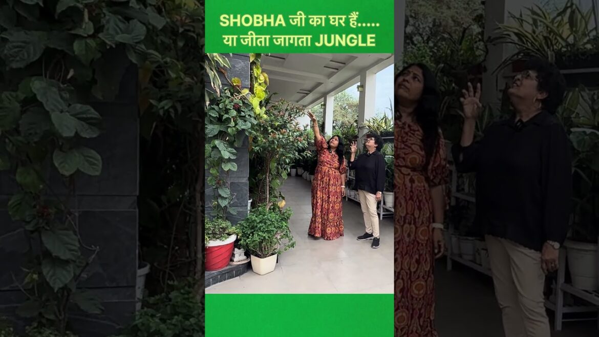 SHOBHA जी का घर हैं......या जीता जागता JUNGLE