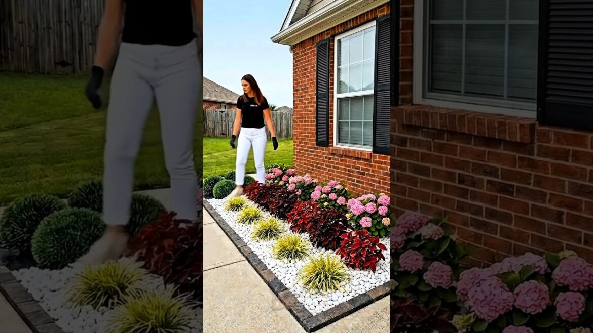 Front Yard Transformation: Dead Grass to Stunning Flower Bed with White Pebbles & Brick Edging! 🌸