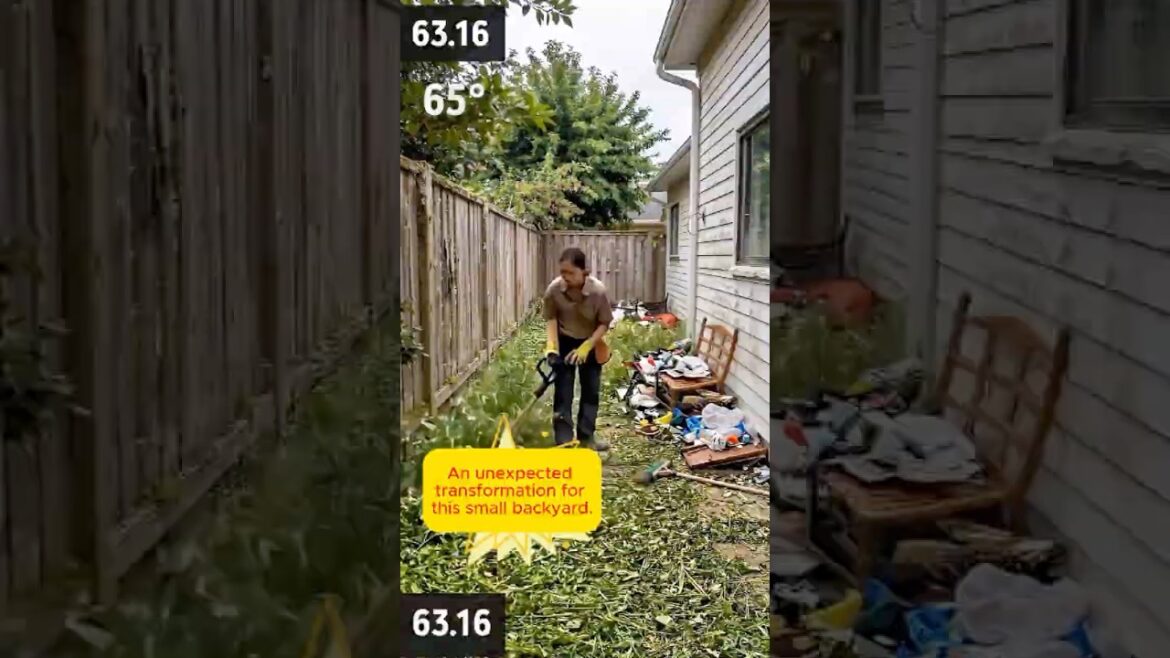 An unexpected transformation for this backyard #shots#gardendesign #satisfying #powerwashing #diy An unexpected transformation for this backyard #shots#gardendesign #satisfying #powerwashing #diy