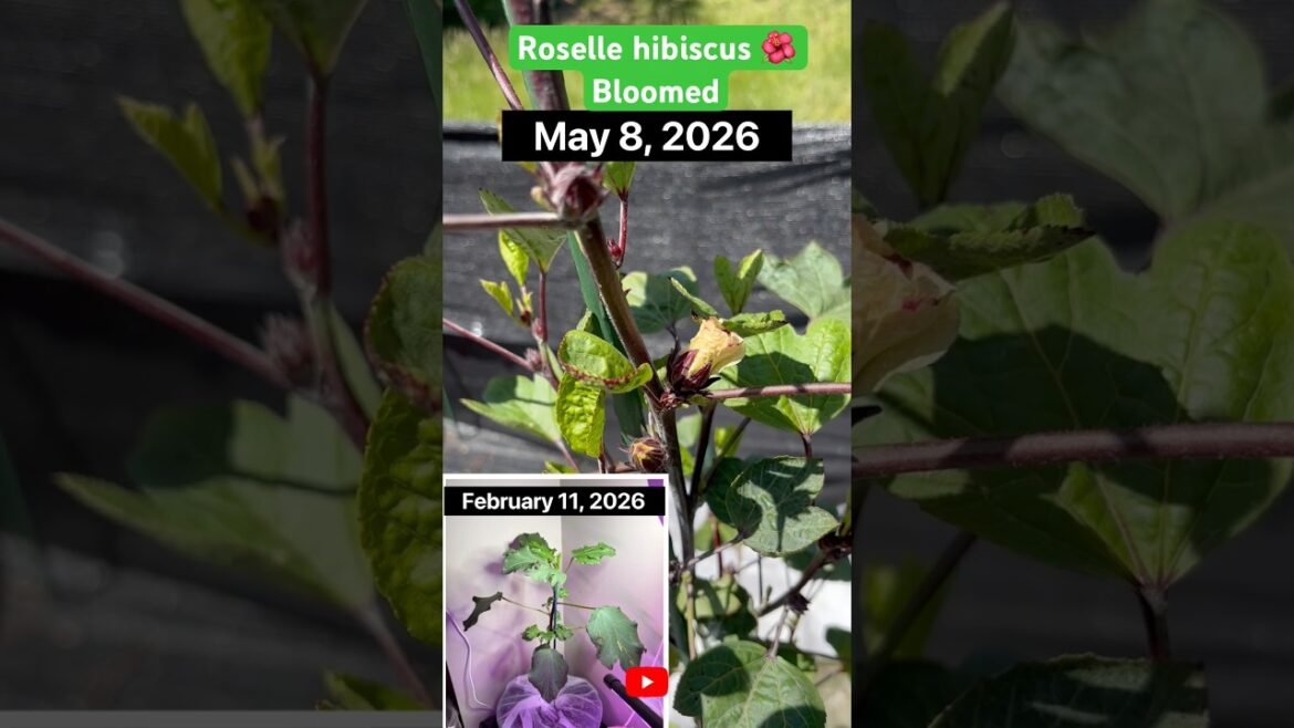 May 8, 2026