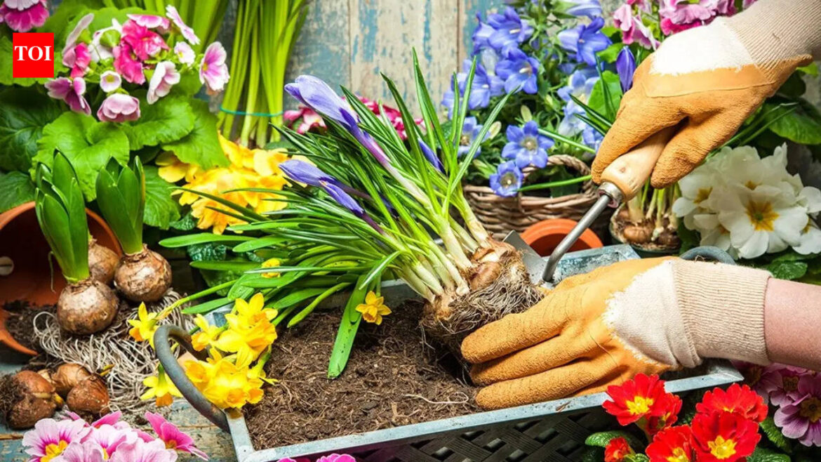 5 gardening tips to try in Google Search to make your plants thrive in UK 5 gardening tips to try in Google Search to make your plants thrive in UK