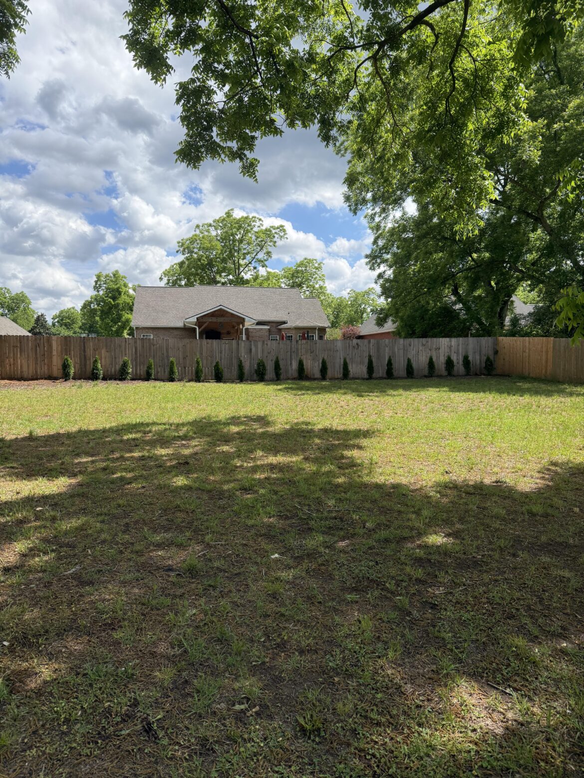 Sister messed up her backyard? Sister messed up her backyard?