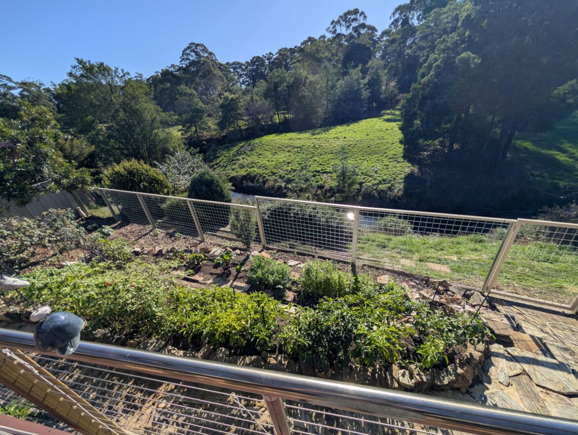 Moved from my 20 acre Tasmanian homestead to town on 700 m2. Luckily I can still have the green and grow some food in the garden :)