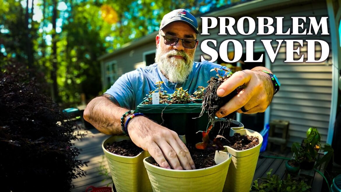 I quit container gardening until I found this I quit container gardening until I found this