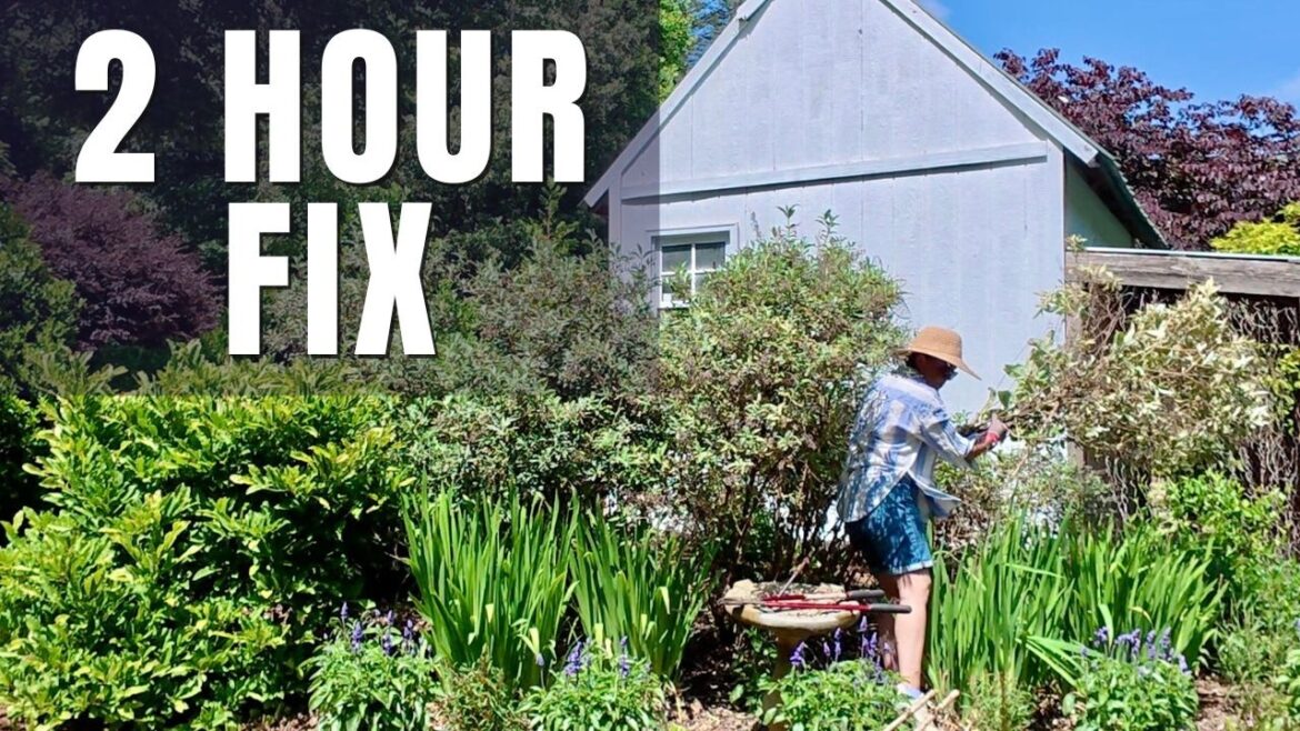 2 Hours to Fix This Garden (No New Annuals Needed!) 2 Hours to Fix This Garden (No New Annuals Needed!)