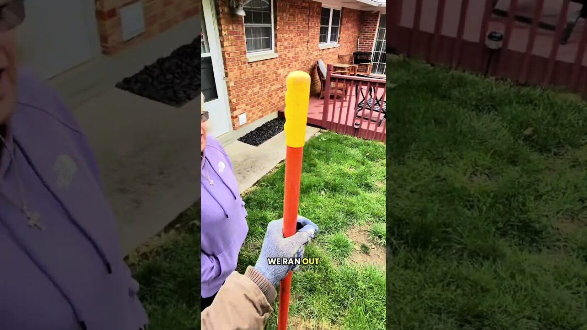Thirsty Thursday and landscaping is a dangerous combo…