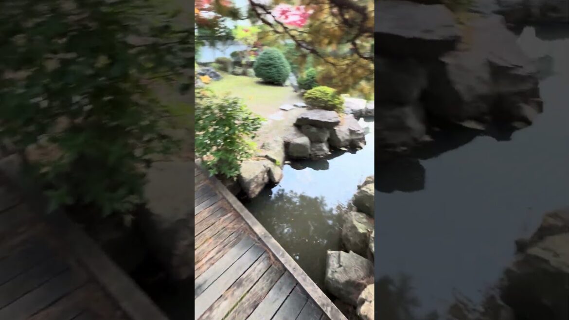 Spencer Slight Return #folksong #music #singer #japan #folkmusic #garden #landscape #japan #singing