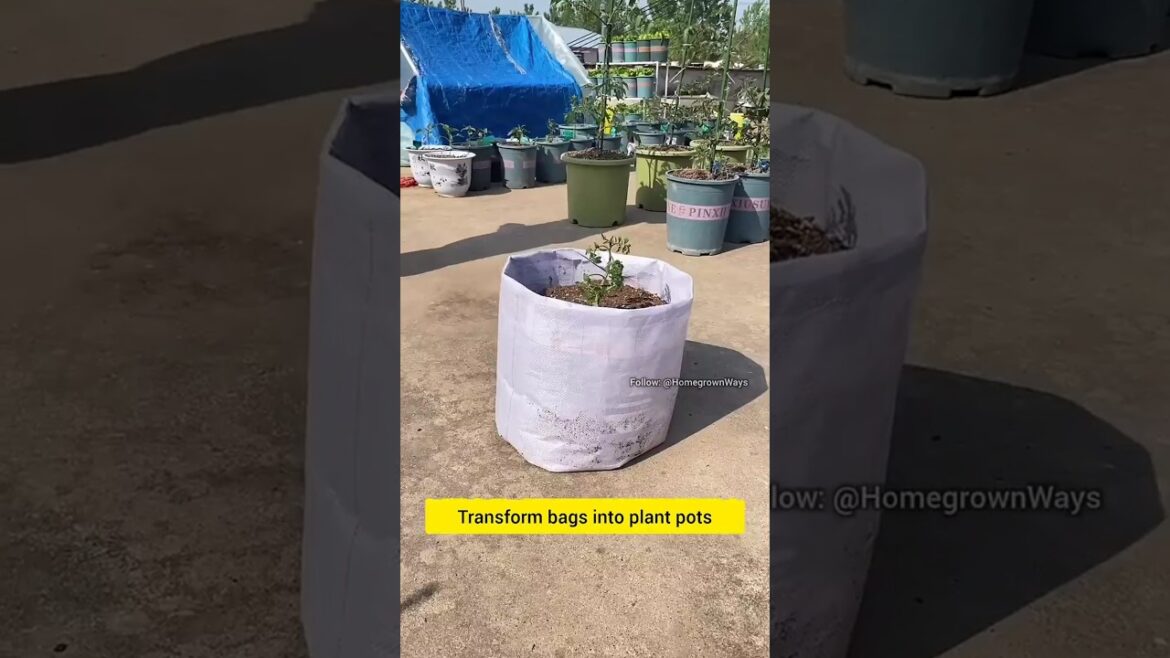 Tip for transforming bags into plant pots. #garden #roomtogrow #gardening