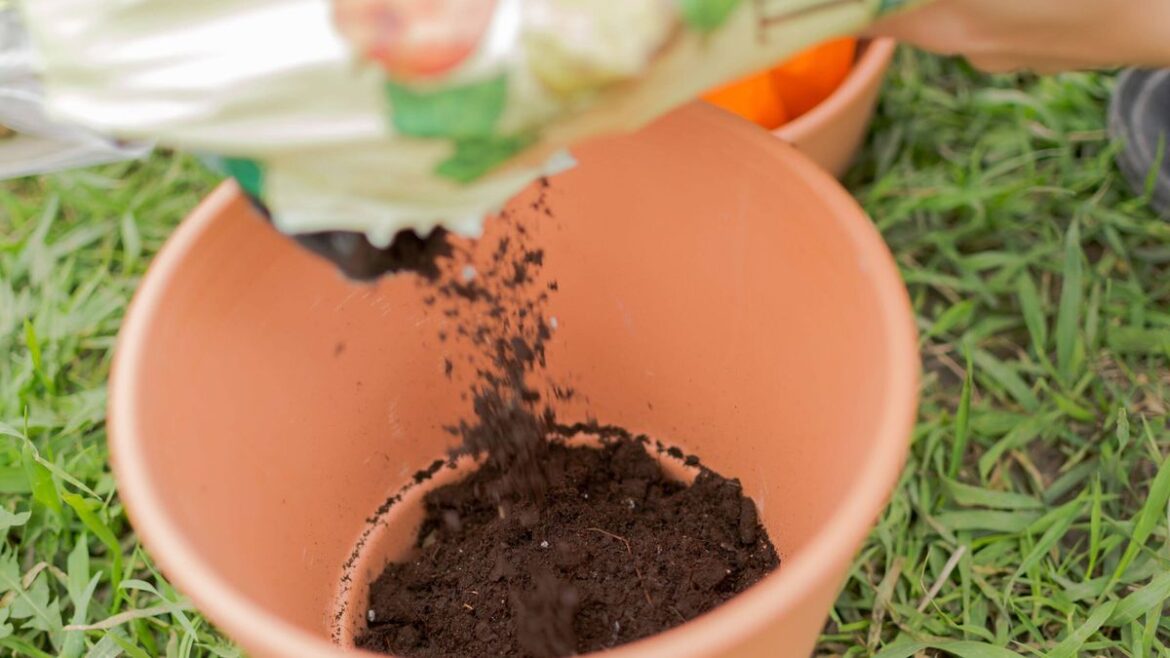 Gardeners urged to ‘hold off’ as one mistake could end up killing their plants Devon Live