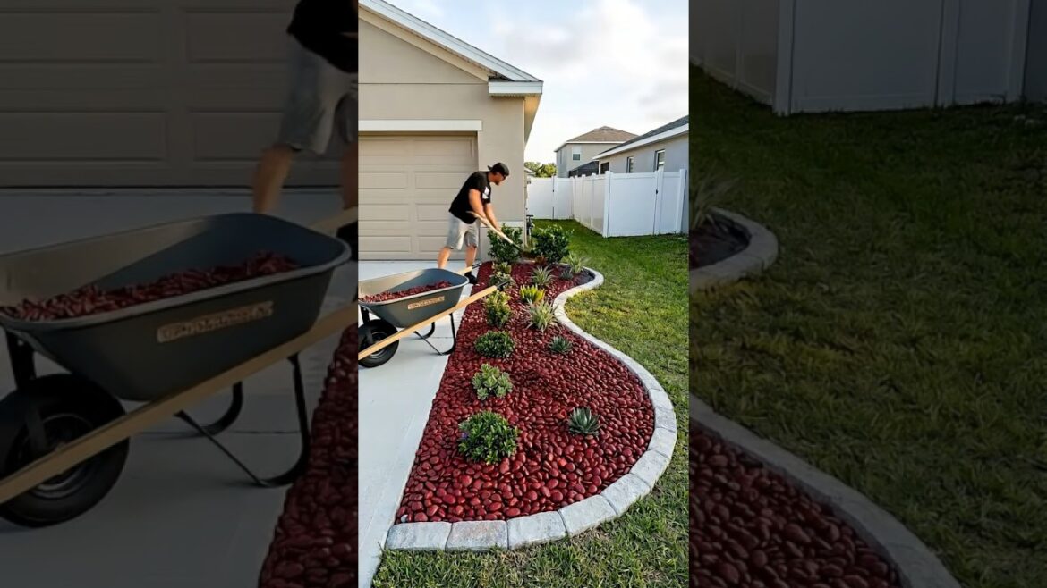 “From Empty Space to Stunning Garden Transformation!”#shortsfeed #shortstory #animation #thambolam “From Empty Space to Stunning Garden Transformation!”#shortsfeed #shortstory #animation #thambolam