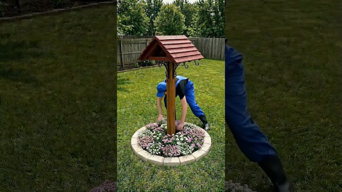 I Built a Bird Feeding Garden in My Home Backyard Garden and It Completely🐦#backyard #garden #diy