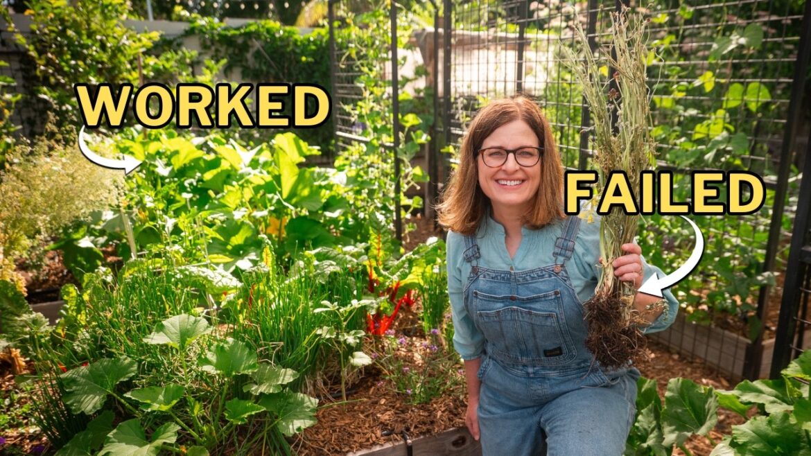 Arizona Garden Tour: Early Heat Changed My Spring Garden Plans