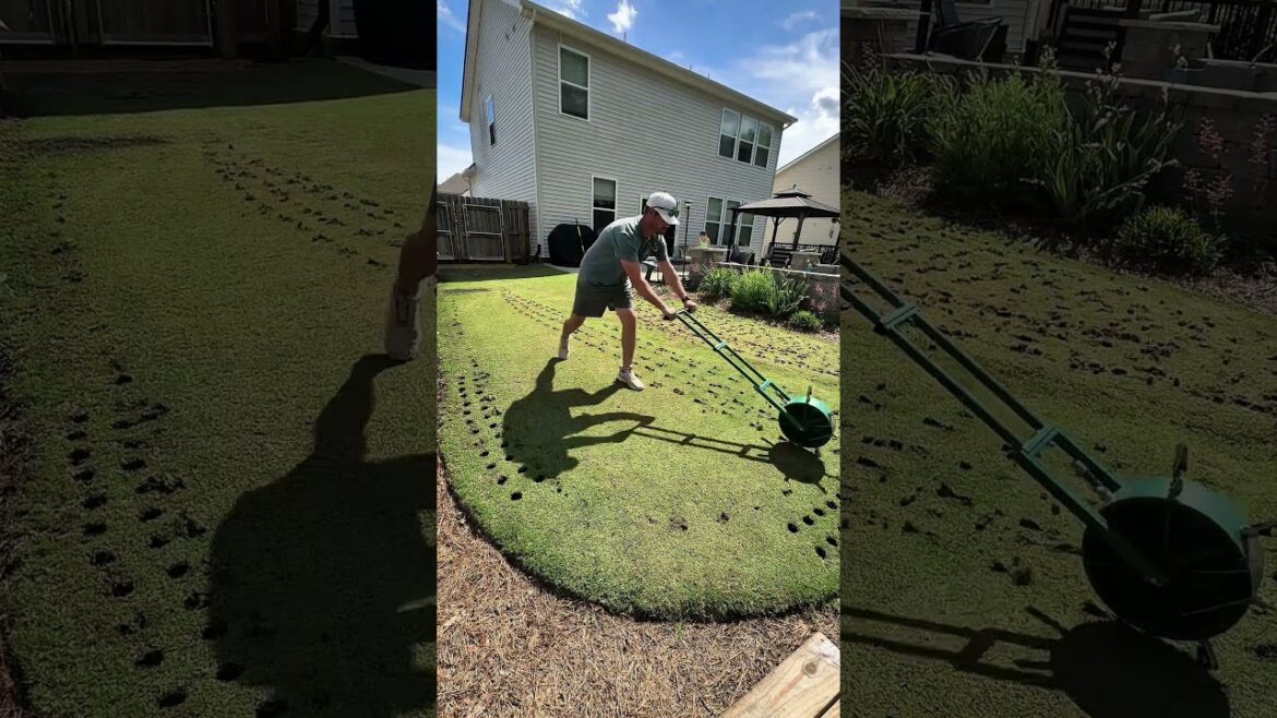 Got a lot done on the backyard putting green