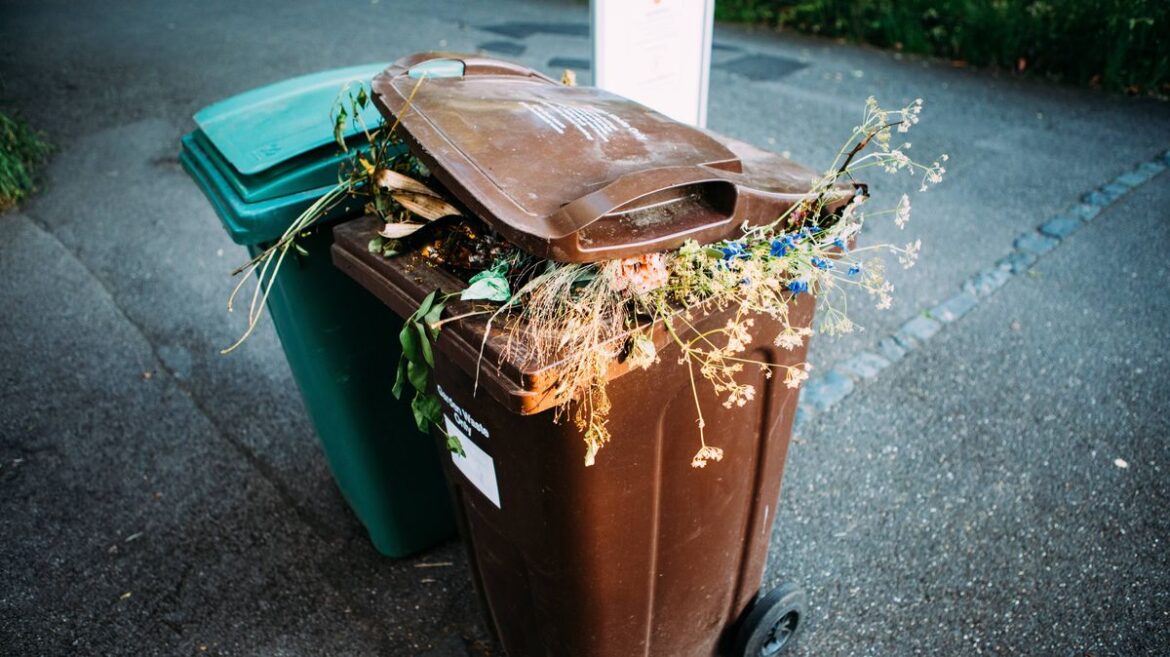 10 garden items councils no longer have to collect as England’s new bin rules kick in Yorkshire Live