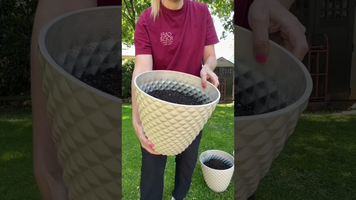 These medium planters are beautiful and perfect for a container garden! I am planting herbs in these