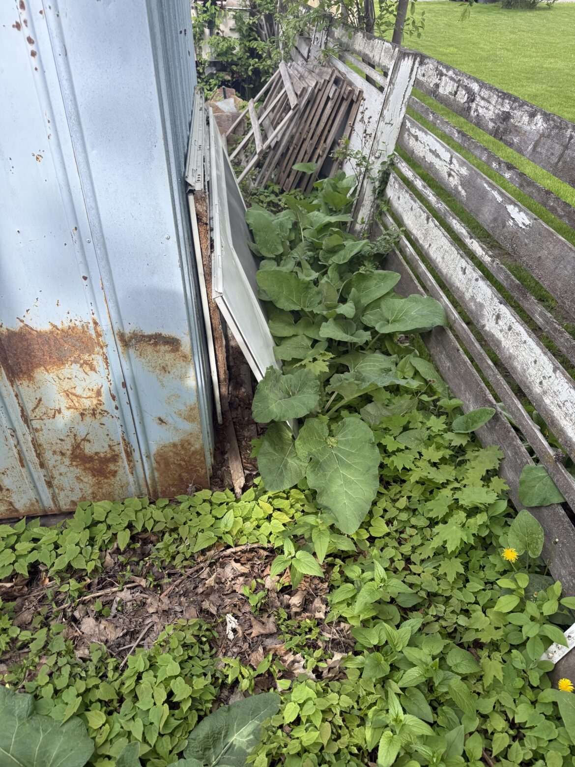 Northwest Montana, USA