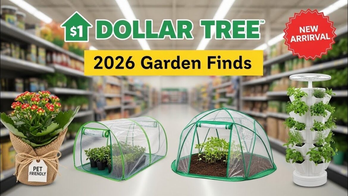 Dollar Tree’s Best Garden Finds For 2026! Dollar Tree's Best Garden Finds For 2026!