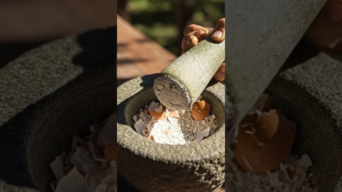 Lahanalar Çatlıyor mu? İşte BEDAVA Çözüm! | Bahçe İpuçları #doğalçözümler #garden #organikmeyve
