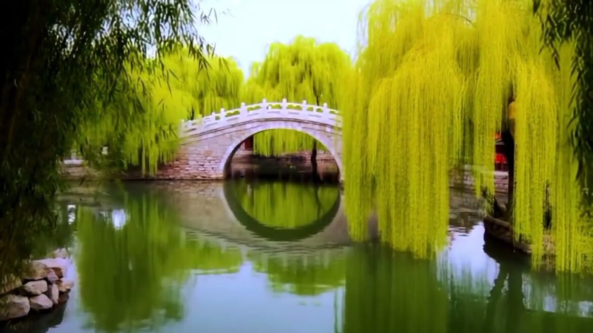 Japanese style garden. Soothing music for meditation.for yoga. Landscape with calm music.