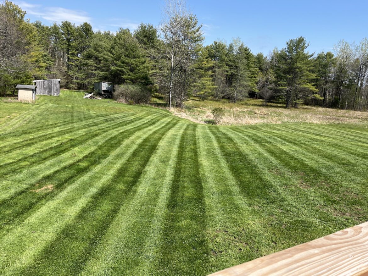How to improve this backyard?