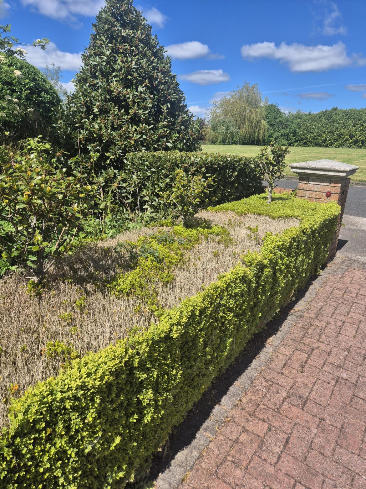 Dead hedge