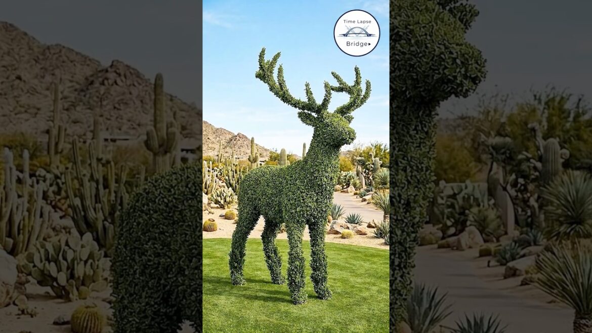 A Simple Garden Turned Into a Creative Design🦕 #garden #backyard #landscape #outdoors #outdoordecor A Simple Garden Turned Into a Creative Design🦕 #garden #backyard #landscape #outdoors #outdoordecor