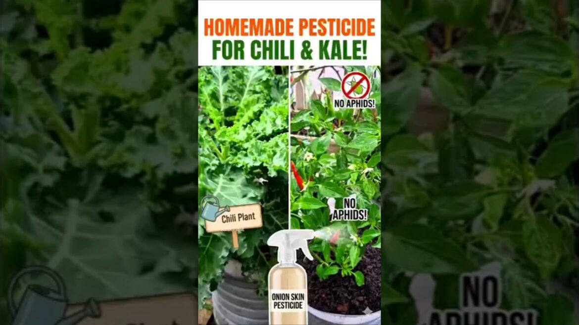 Stop Throwing Away Onion Peels! π« Make This Easy Garden Spray Stop Throwing Away Onion Peels! π« Make This Easy Garden Spray