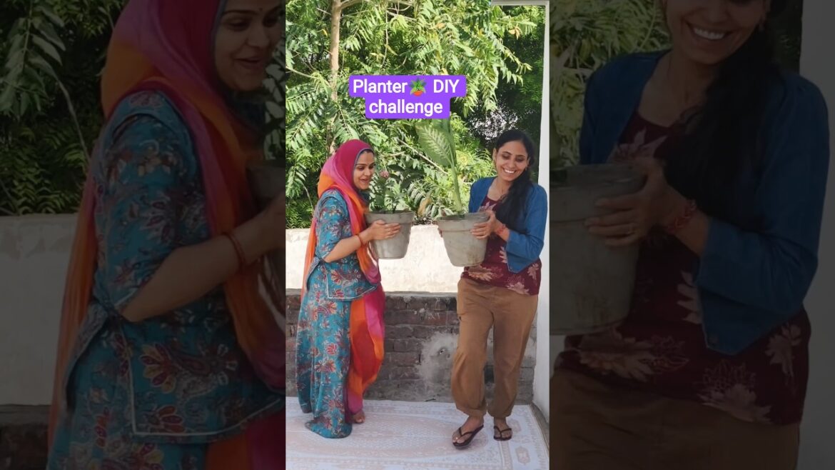 आज तो परी के planters हाथ लग गए / Ghamu saran / Outdoor planter decor ideas #shorts #planter
