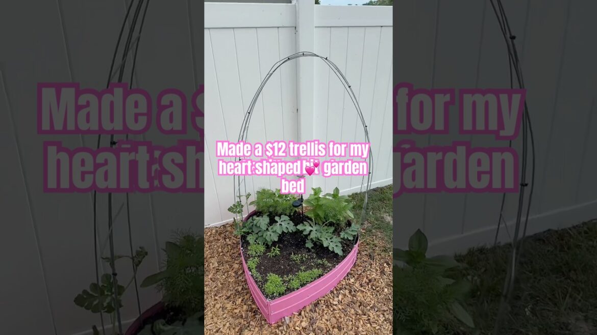 Made a $13 trellis for my heart shaped garden bed! #garden #trellis #growingfood #plantingideas