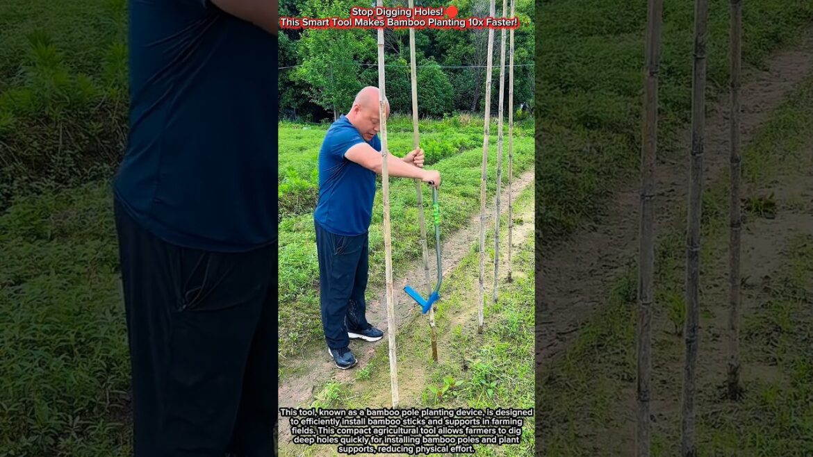 Stop Digging Holes! π This Smart Tool Makes Bamboo Planting 10x Faster! π Stop Digging Holes! π This Smart Tool Makes Bamboo Planting 10x Faster! π