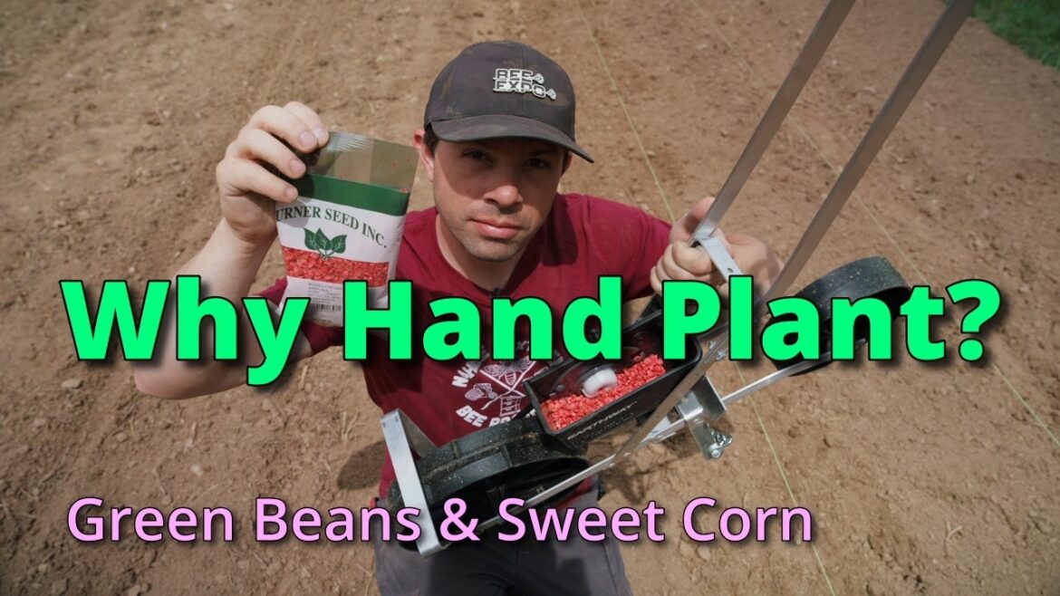 🌽No More Bending Over! How We Plant Rows of Corn & Beans in Minutes 🌽No More Bending Over! How We Plant Rows of Corn & Beans in Minutes