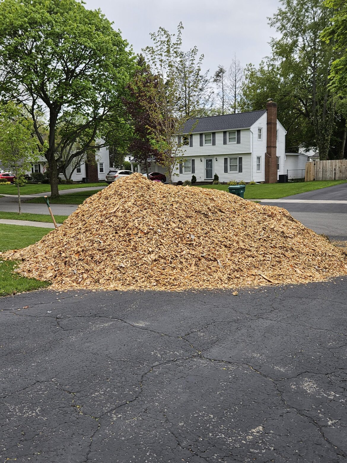 The motherload