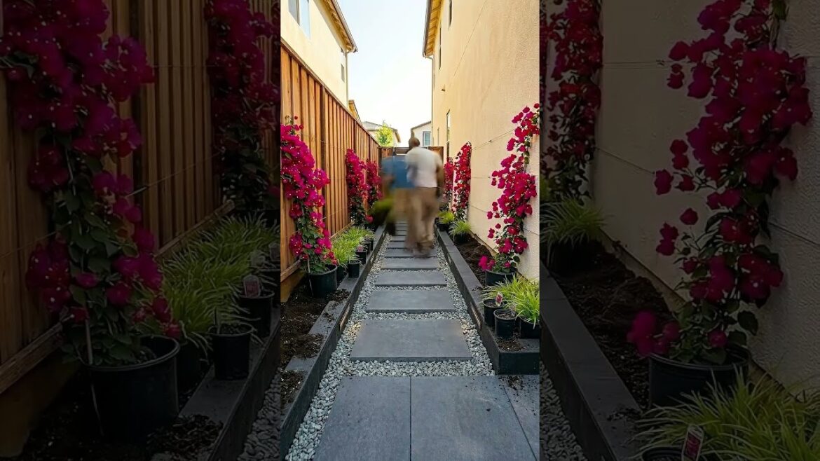 This Narrow Side Yard Finally Makes Sense