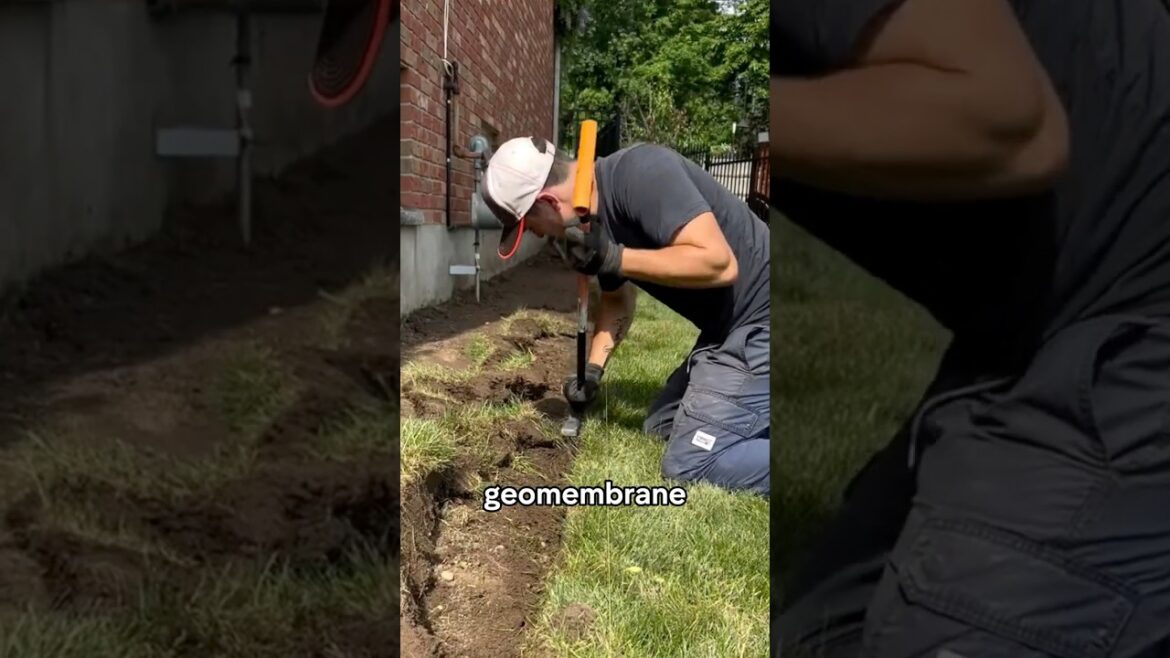 Cheap Way to Stop Weeds Forever Cheap Way to Stop Weeds Forever