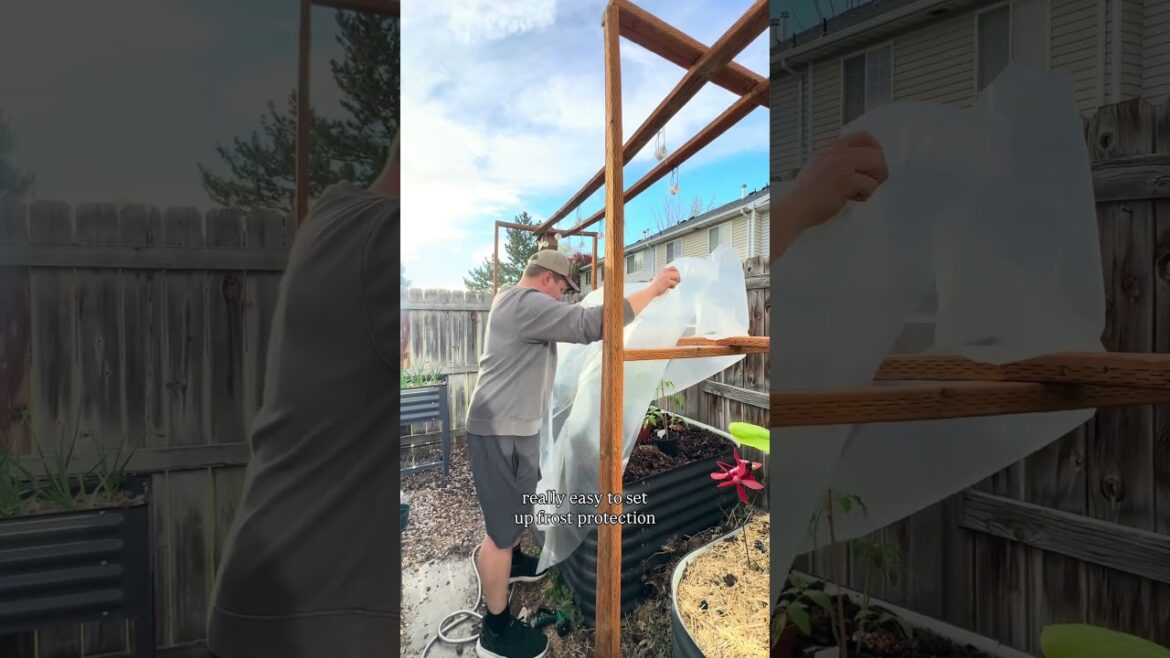 Wooden Trellis Benefits
